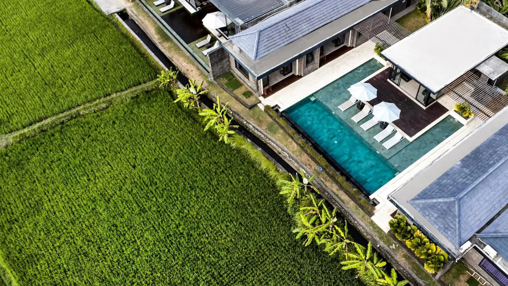 Villa Rafa By Balisuperhost Ubud  Ubud (Bali)